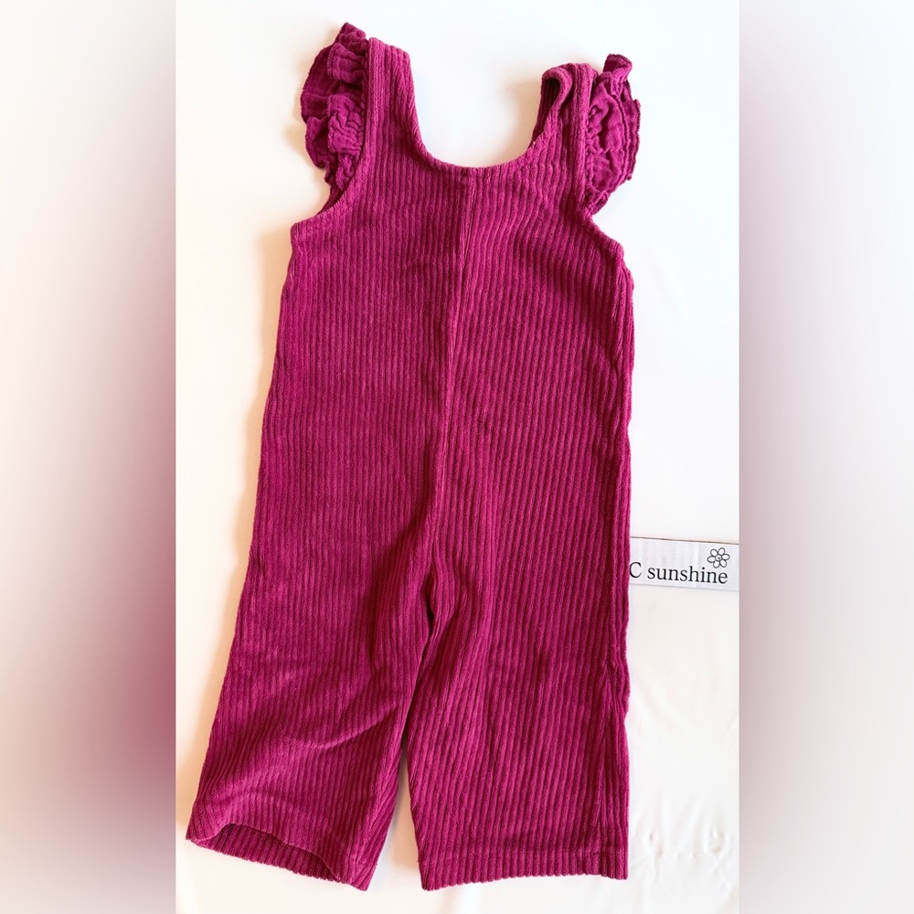 Zara Berry Ribbed Garment